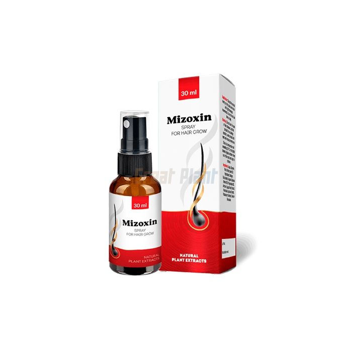 ✜ Mizoxin ⏤ producto de restauración del cabello