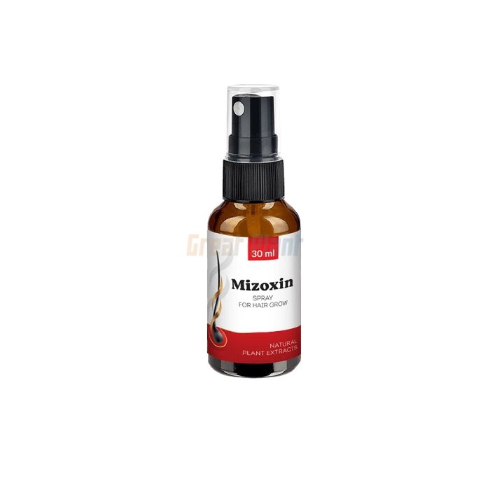 ✜ Mizoxin ⏤ hair restoration product