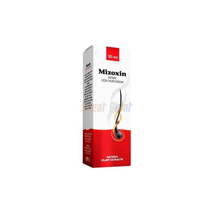 ✜ Mizoxin ⏤ hair restoration product