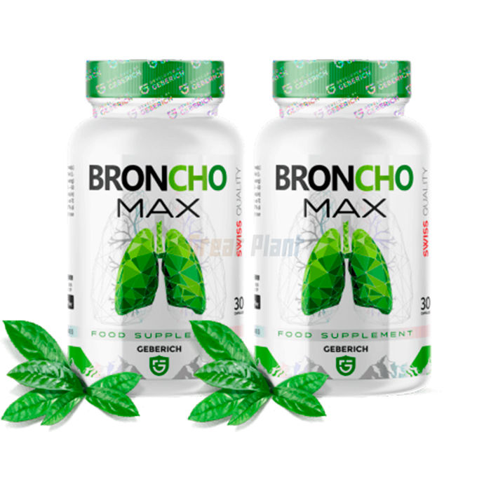 ✜ BronchoMax ⏤ capsules that help thin thick bronchial secretions