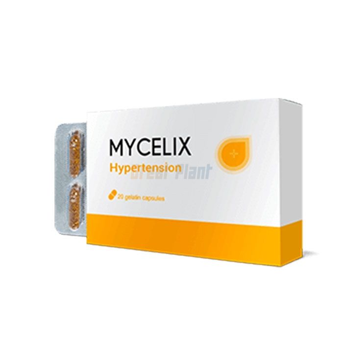 ✜ Mycelix ⏤ Heilmittel gegen Bluthochdruck